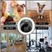 A9 Mini Camera 1080P HD IP Camera Night Version Voice Video Security Wireless Mini Camcorders Surveillance Cameras Wifi Camera