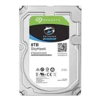 Seagate Surveillance 8 TB Hard Disk